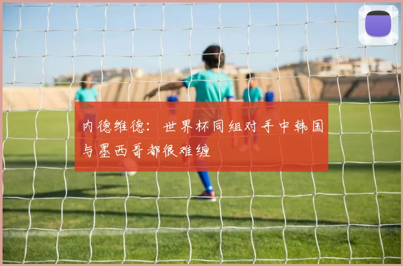 内德维德：世界杯同组对手中韩国与墨西哥都很难缠