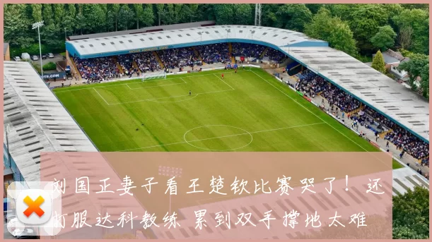 刘国正妻子看王楚钦比赛哭了！还打服达科教练 累到双手撑地太难