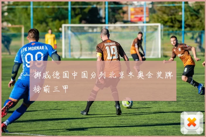 挪威德国中国分列北京冬奥会奖牌榜前三甲