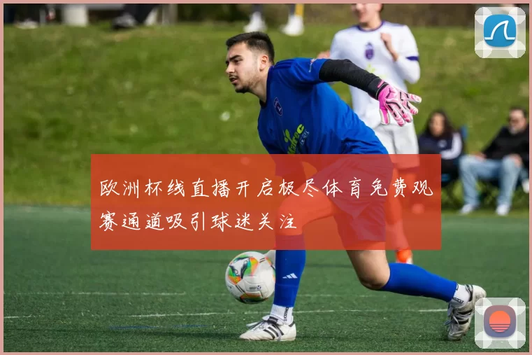 欧洲杯线直播开启极尽体育免费观赛通道吸引球迷关注