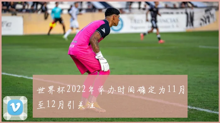 世界杯2022年举办时间确定为11月至12月引关注